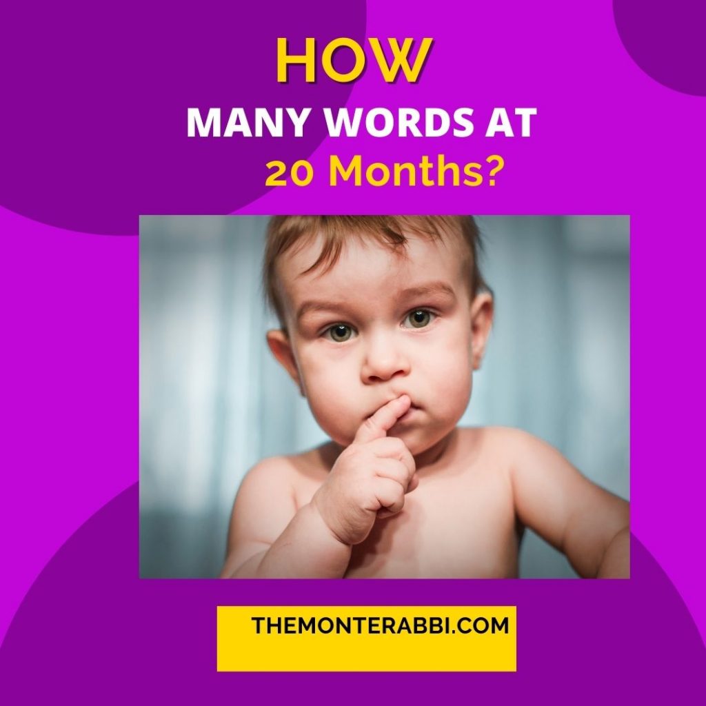 How Many Words at 20 Months? — The MonteRabbi