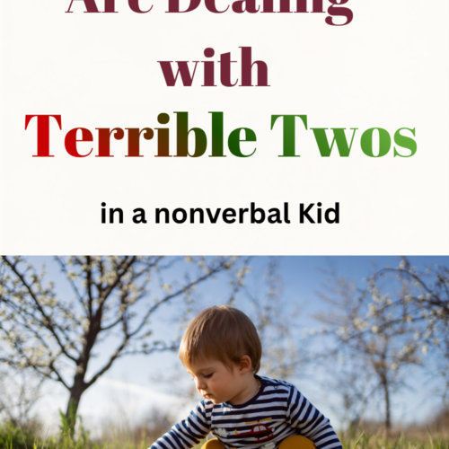 how to survive Terrible Twos when your toddler doesn’t speak