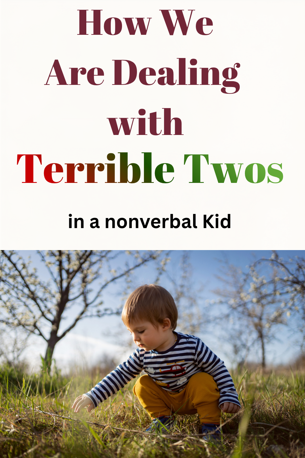 how to survive Terrible Twos when your toddler doesn't speak terrible twos in a nonverbal kid